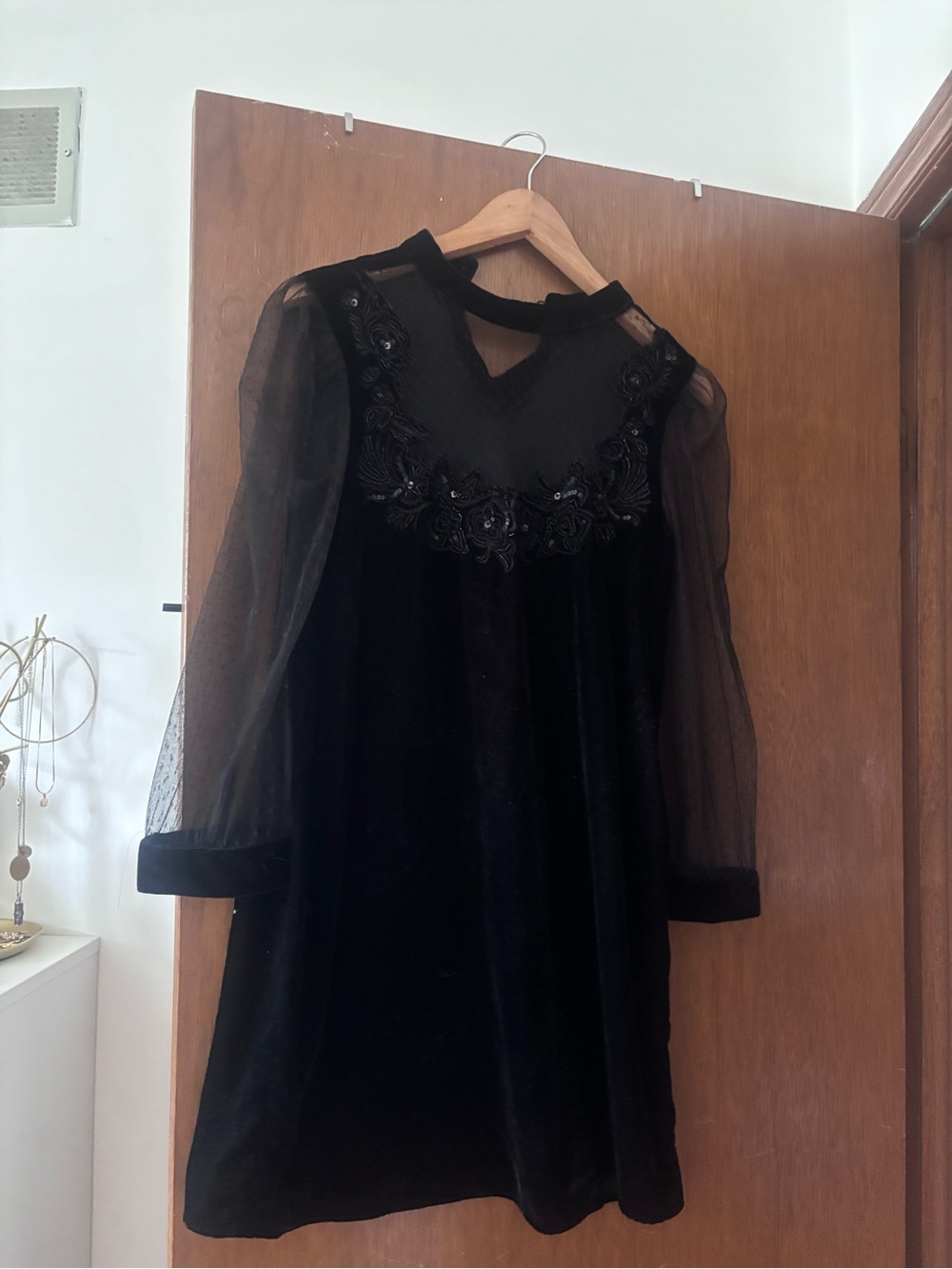 Zara Black Velvet Dress with Sheer Embroidered Sleeves